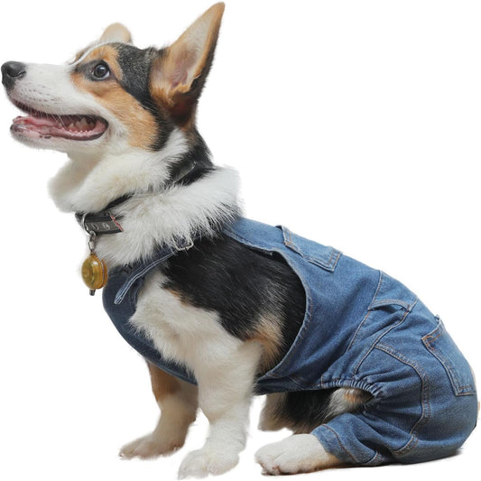 Doggy Overalls